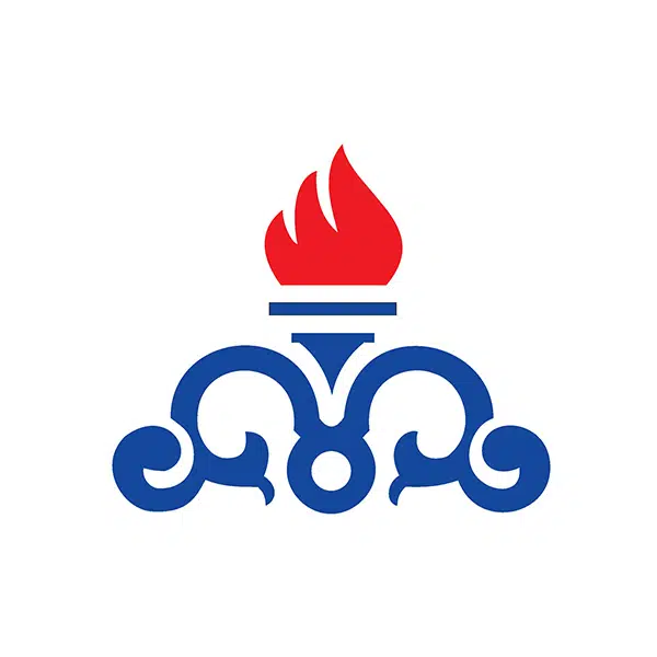 شرکت ملی گاز ایران